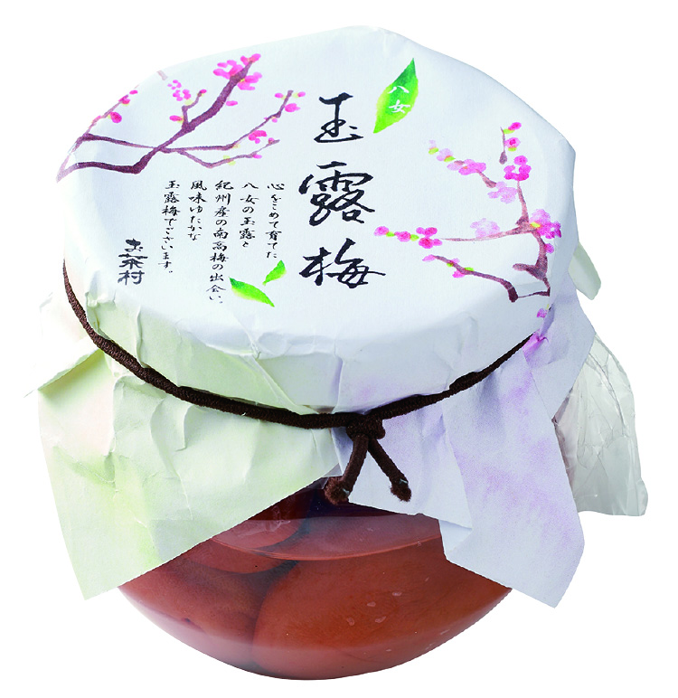 八女玉露梅