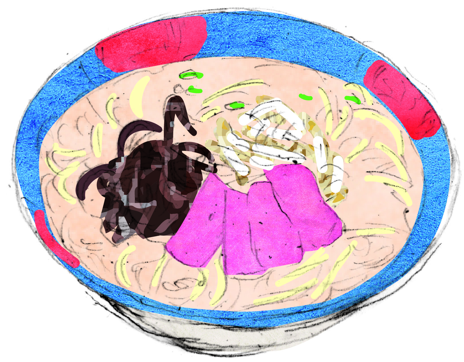 ちゃんぽん イラスト