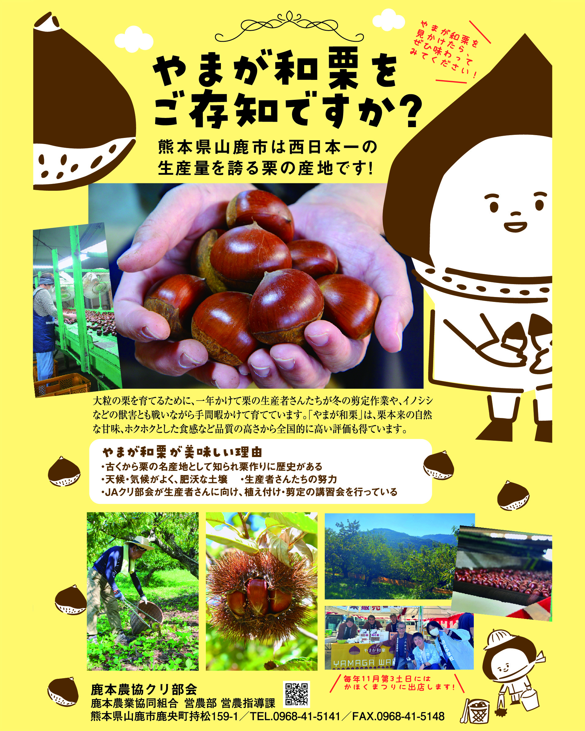 yamaga_waguri