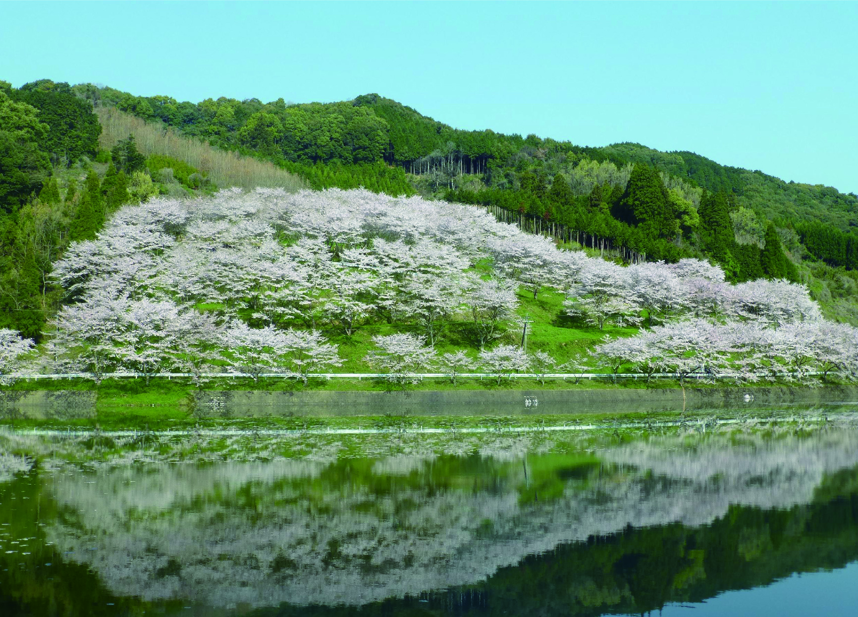 niwaki_dam