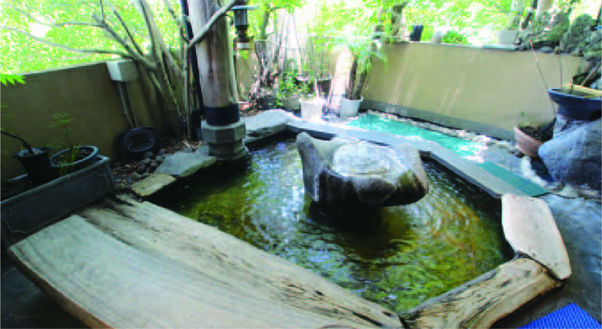足湯
